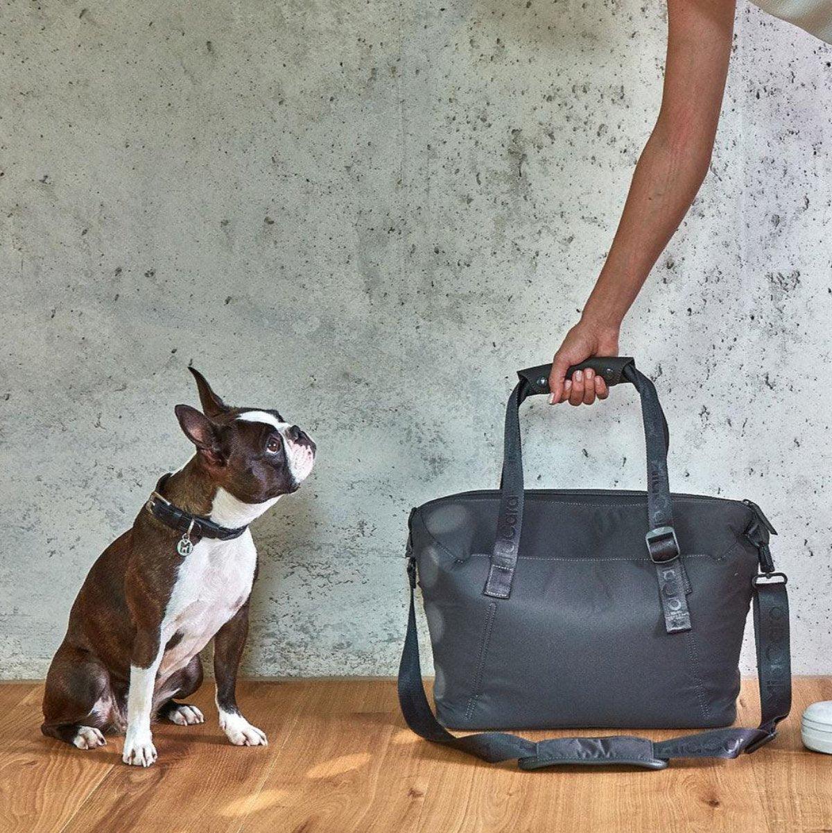Vacanza, une valise pour mon chien pour ranger ses affaires - kasibe