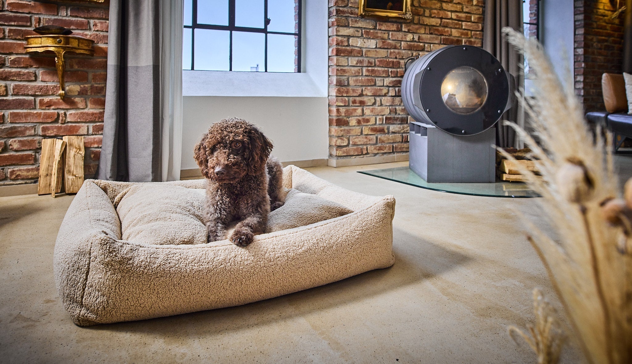 Quelle taille de panier choisir pour son chien ? Guide par race