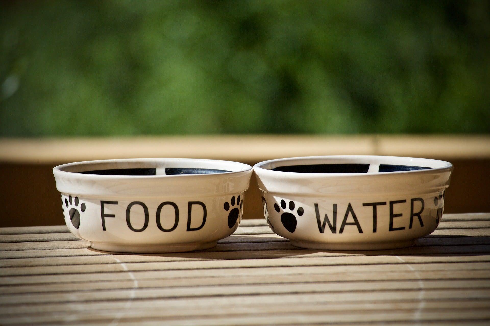 gamelle en porcelaine pour chat et chien