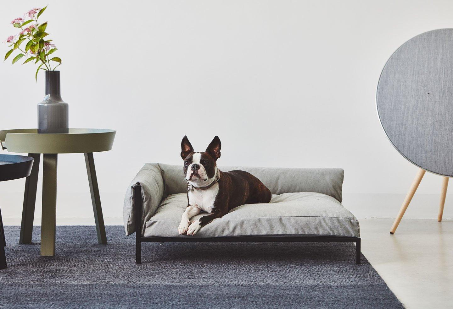 Canapé pour chien moderne & design : l'alternative intelligente - Kasibe
