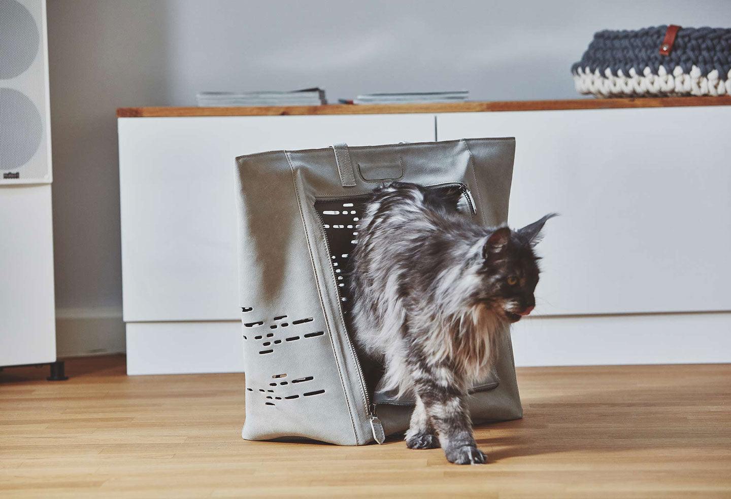 Colliers et sacs de transport pour chats