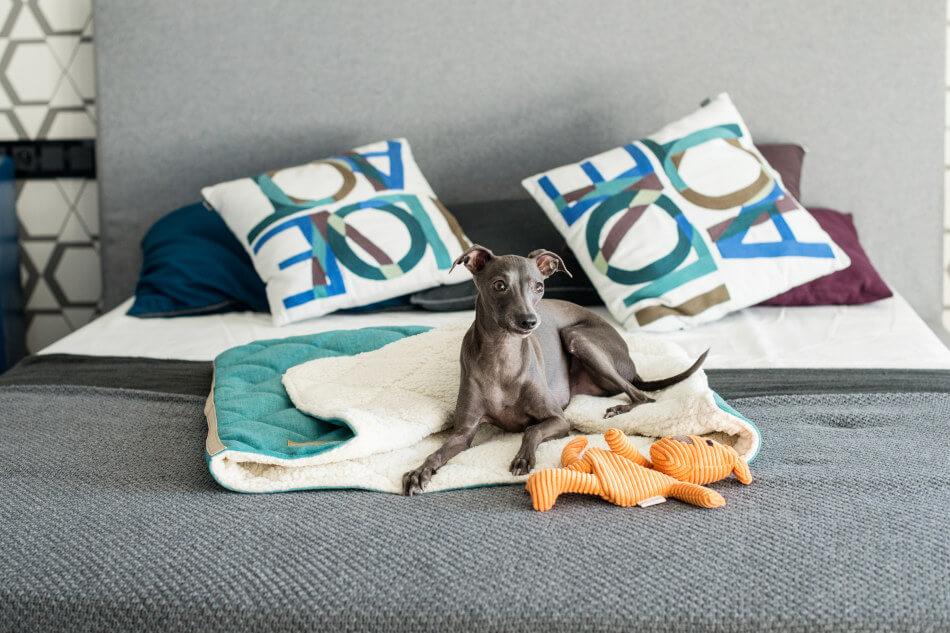 Sac de couchage - Kasibe