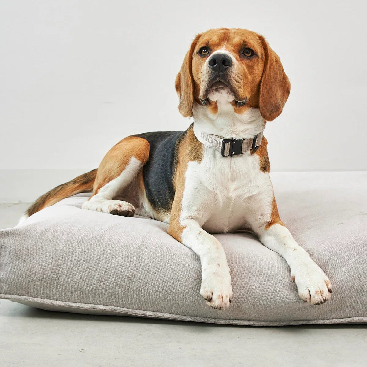 housse de coussin pour chien comodo miacara - kasibe