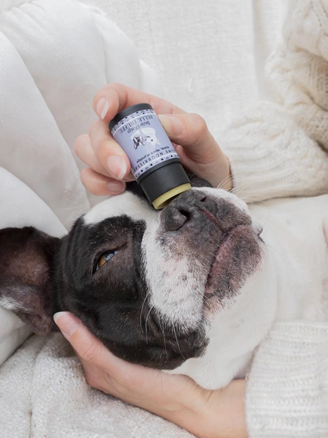 Baume pour la truffe du chien - BELLE TRUFFE - Kasibe