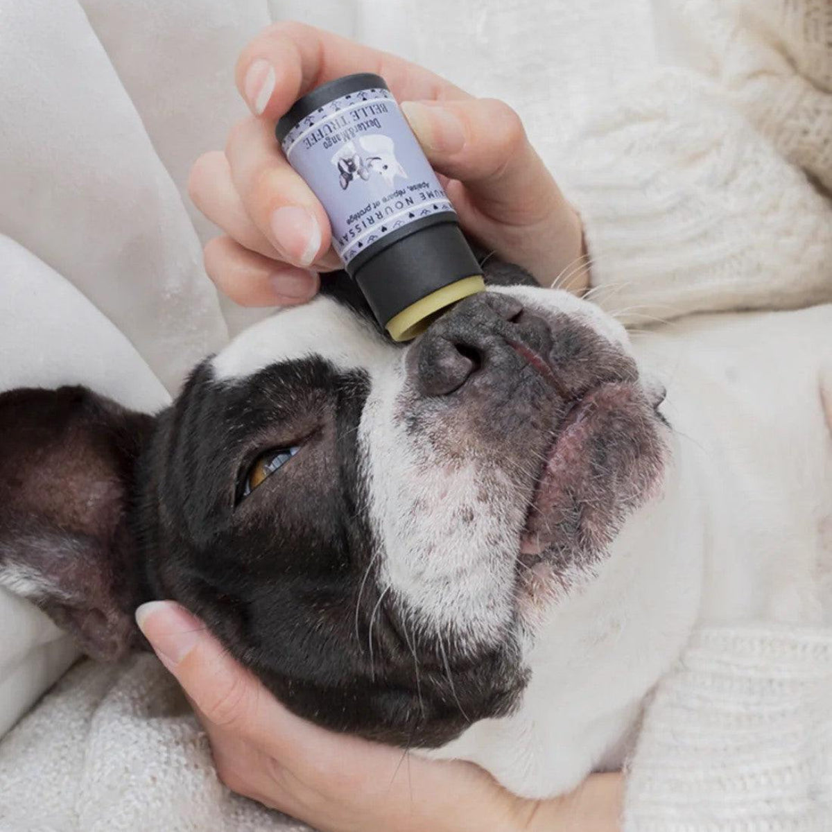 Baume pour la truffe du chien - BELLE TRUFFE - Kasibe