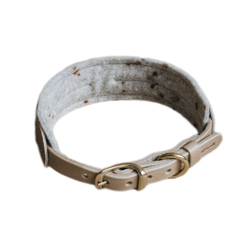 Beau collier pour chien en cuir large Pin latte arrière - kasibe