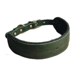 Beau collier pour chien en cuir large Pin vert - kasibe