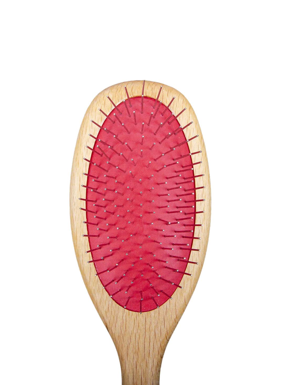 Brosse pour chien et chat double face pour un toilettage optimal de votre animal - Kasibe