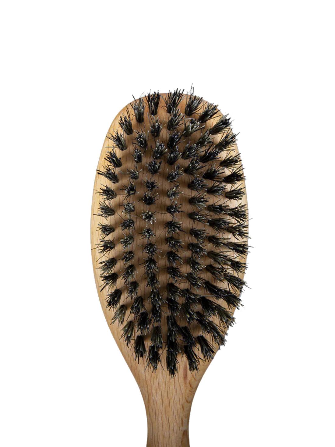 Brosse pour chien et chat double face pour un toilettage optimal de votre animal - Kasibe