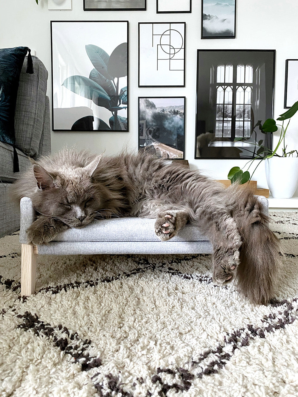 Canapé lit pour chat & chien très confortable Lulu - kasibe