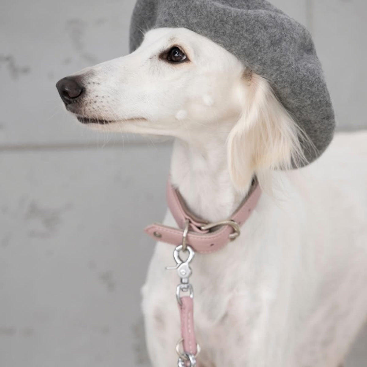 collier pour chien large en cuir rose - kasibe