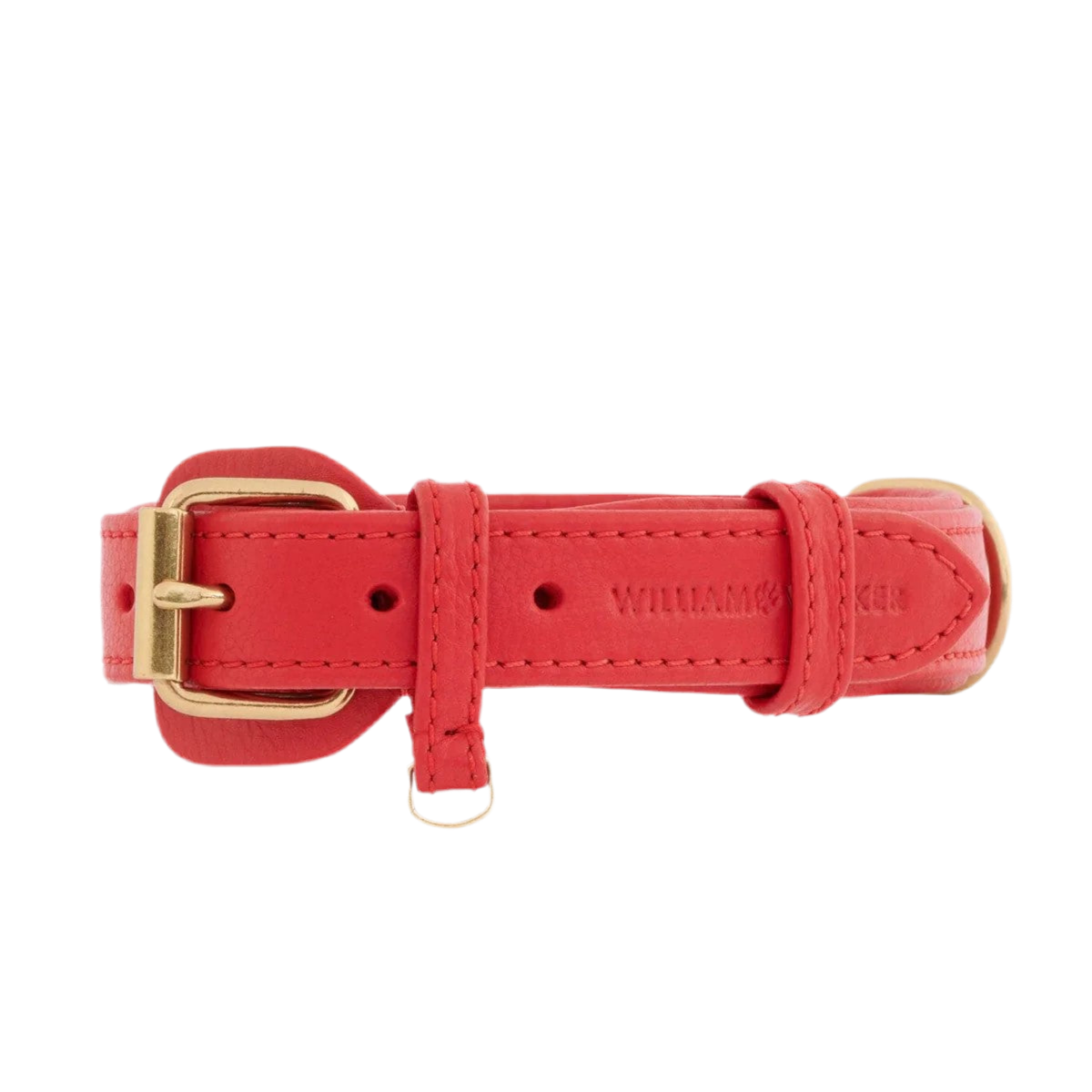 collier pour chien mode rouge - kasibe