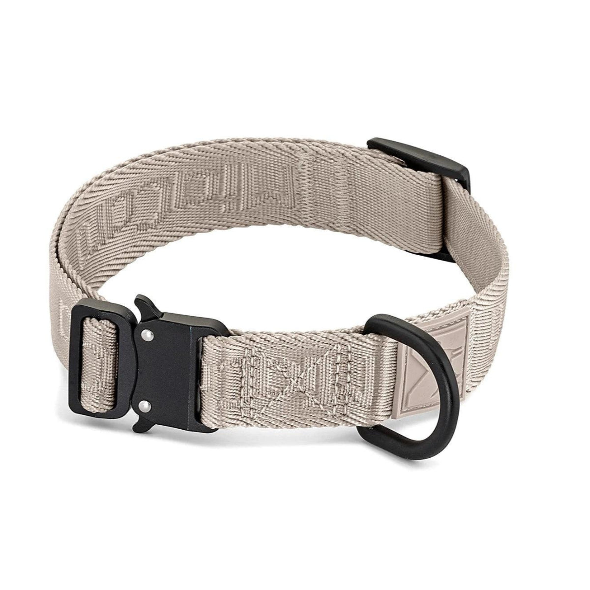 Collier pour chien en nylon, sobriété et élégance pour un look sportif avec Modena gteige - kasibe