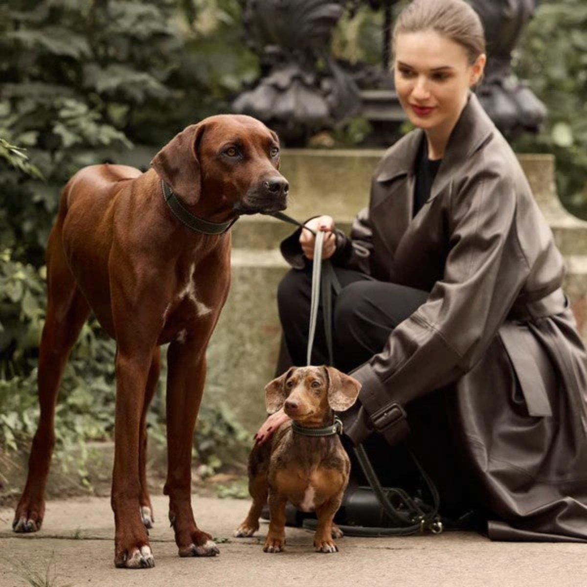 collier pour chien en daim vert - kasibe