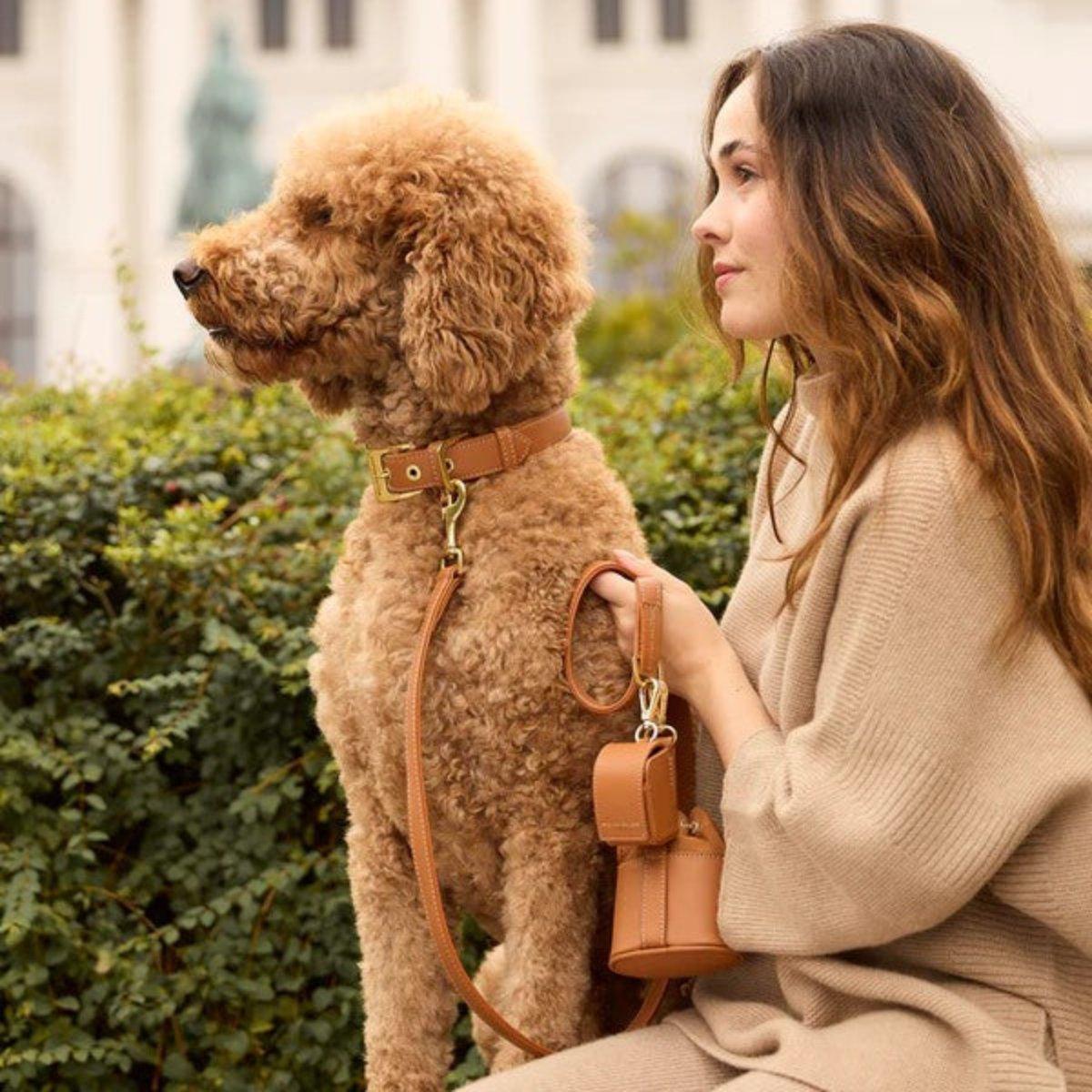 Collier pour chien de luxe - LUXE - Kasibe