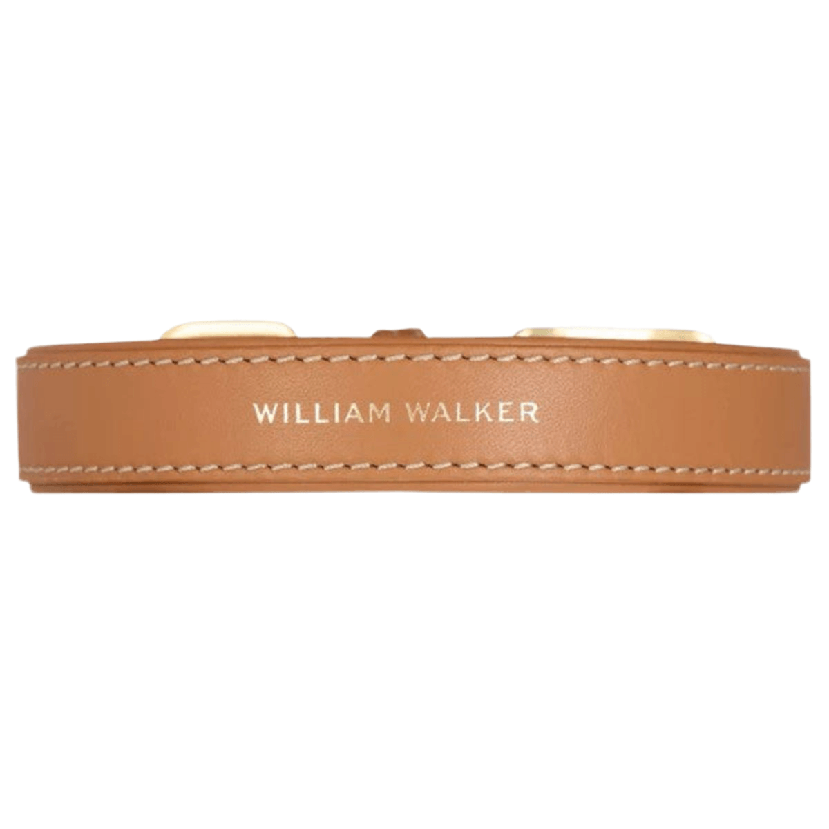 Collier pour chien de luxe - LUXE - Kasibe