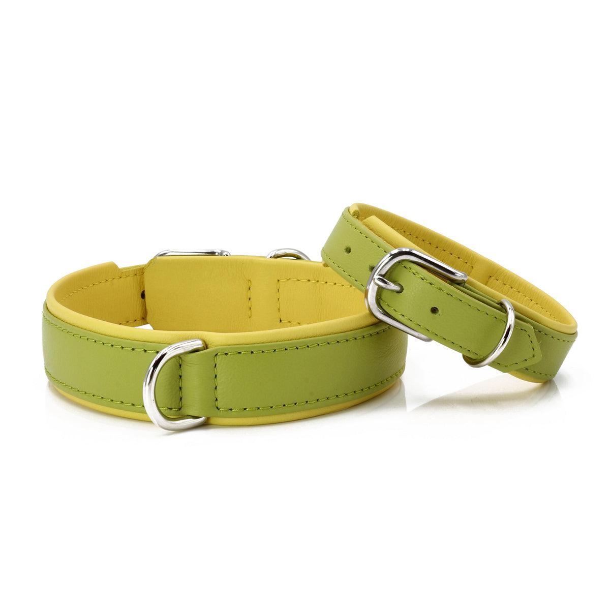 Collier pour chien en cuir large - AMICI - Kasibe