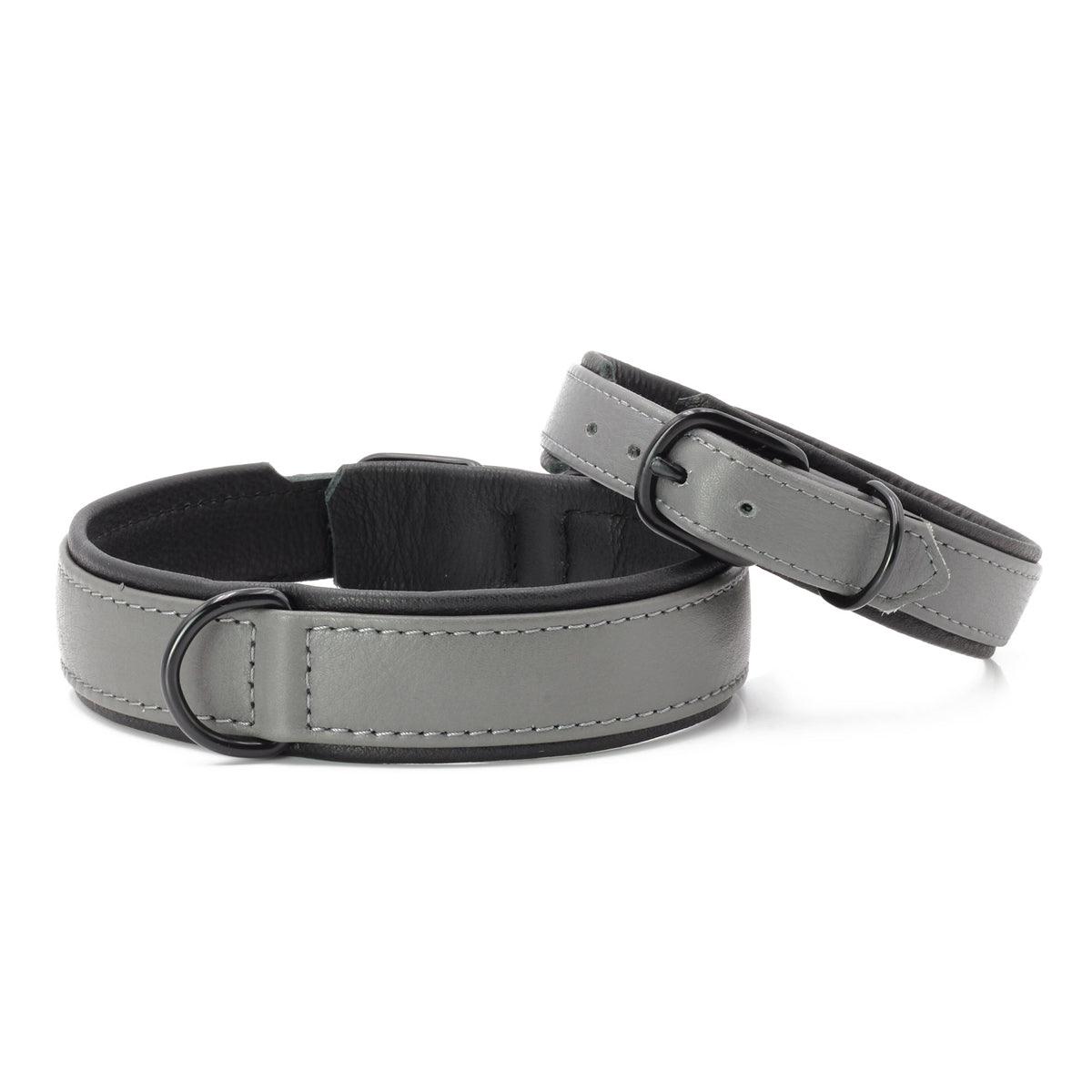 Collier pour chien en cuir large - AMICI - Kasibe