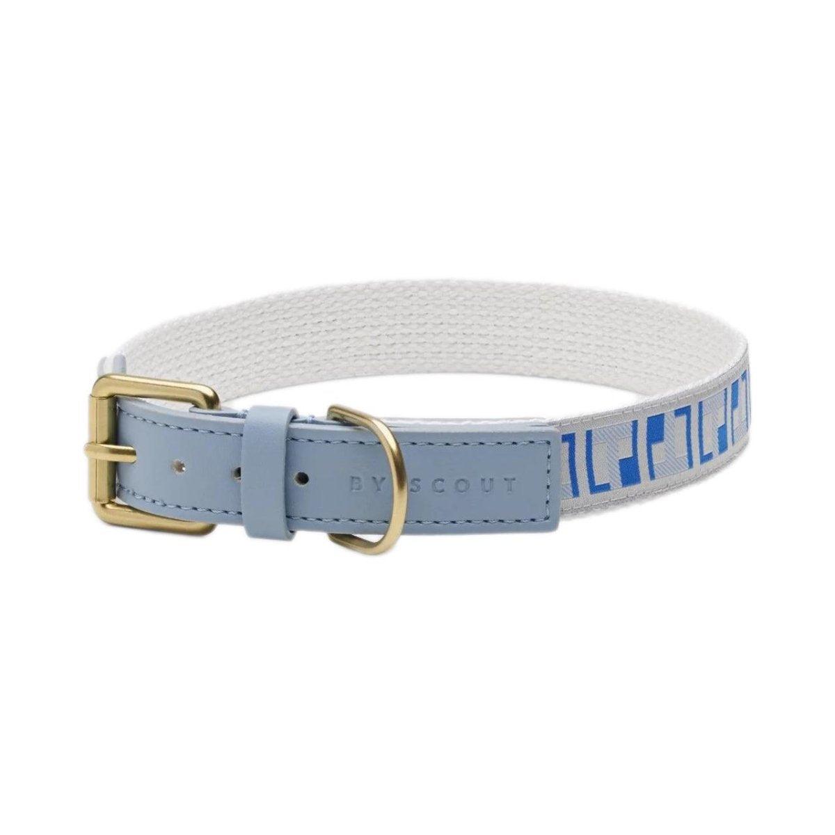 Collier pour chien haut de gamme - HEY SCOUT - Kasibe