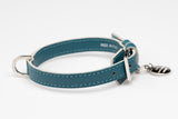 René, une gamme de colliers pour chiens personnalisés bleu côté - kasibe