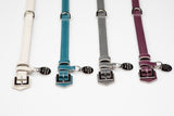 René, une gamme de colliers pour chiens personnalisés couleurs - kasibe