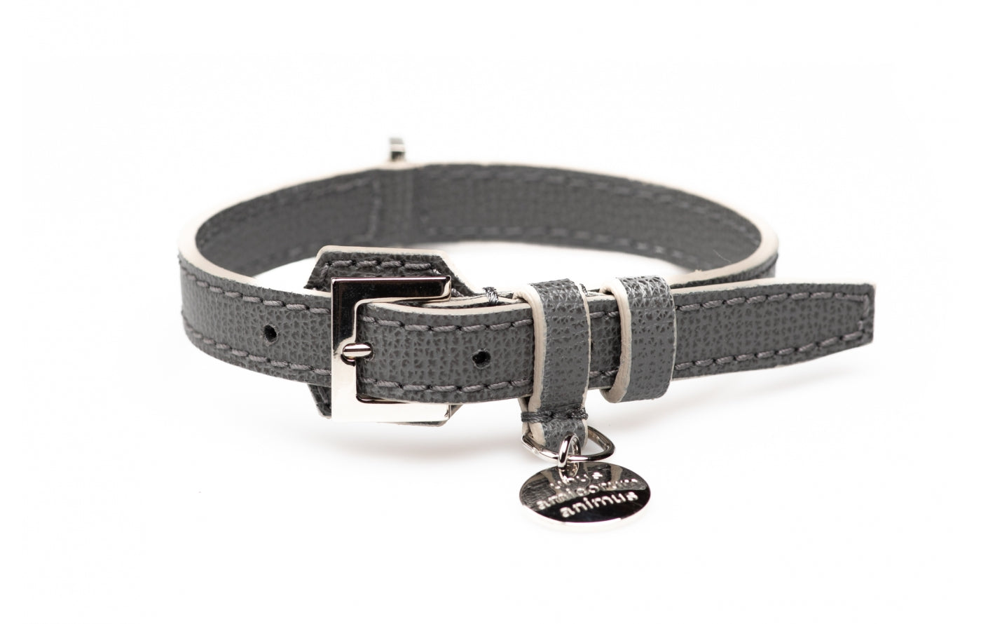 René, une gamme de colliers pour chiens personnalisés gris - kasibe