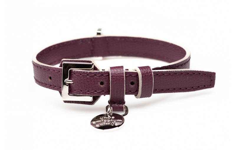 René, une gamme de colliers pour chiens personnalisés violet - kasibe