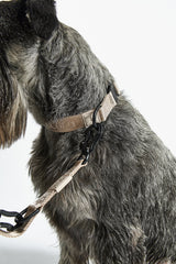 Collier pour chien en nylon, sobriété et élégance pour un look sportif avec Modena - kasibe