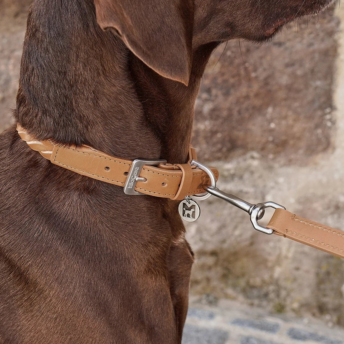 Collier en cuir tressé pour chien camel - kasibe