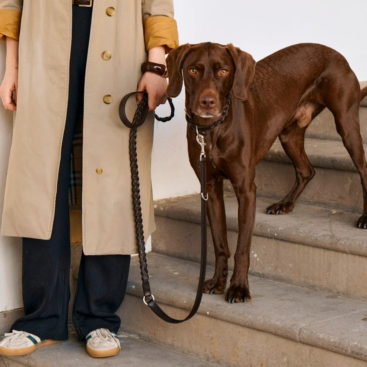 Collier en cuir tressé pour chien chocolat - kasibe