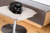Un coussin pour chat très design, Poet, un lit pour chat flottant - kasibe