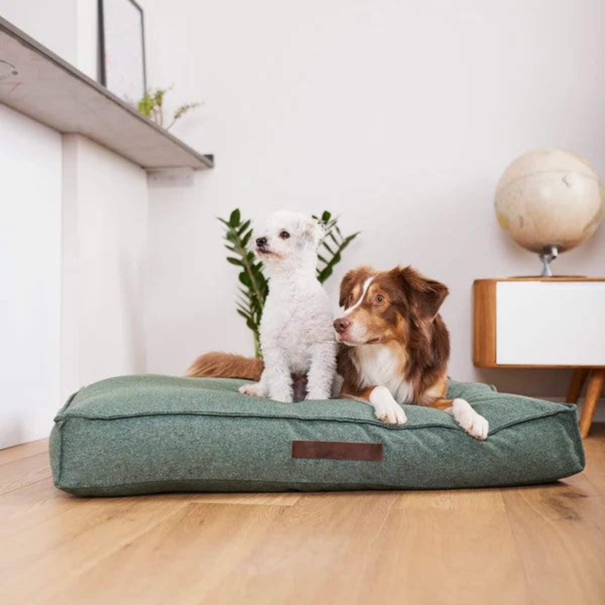 coussin pour chien relaxant vert - kasibe