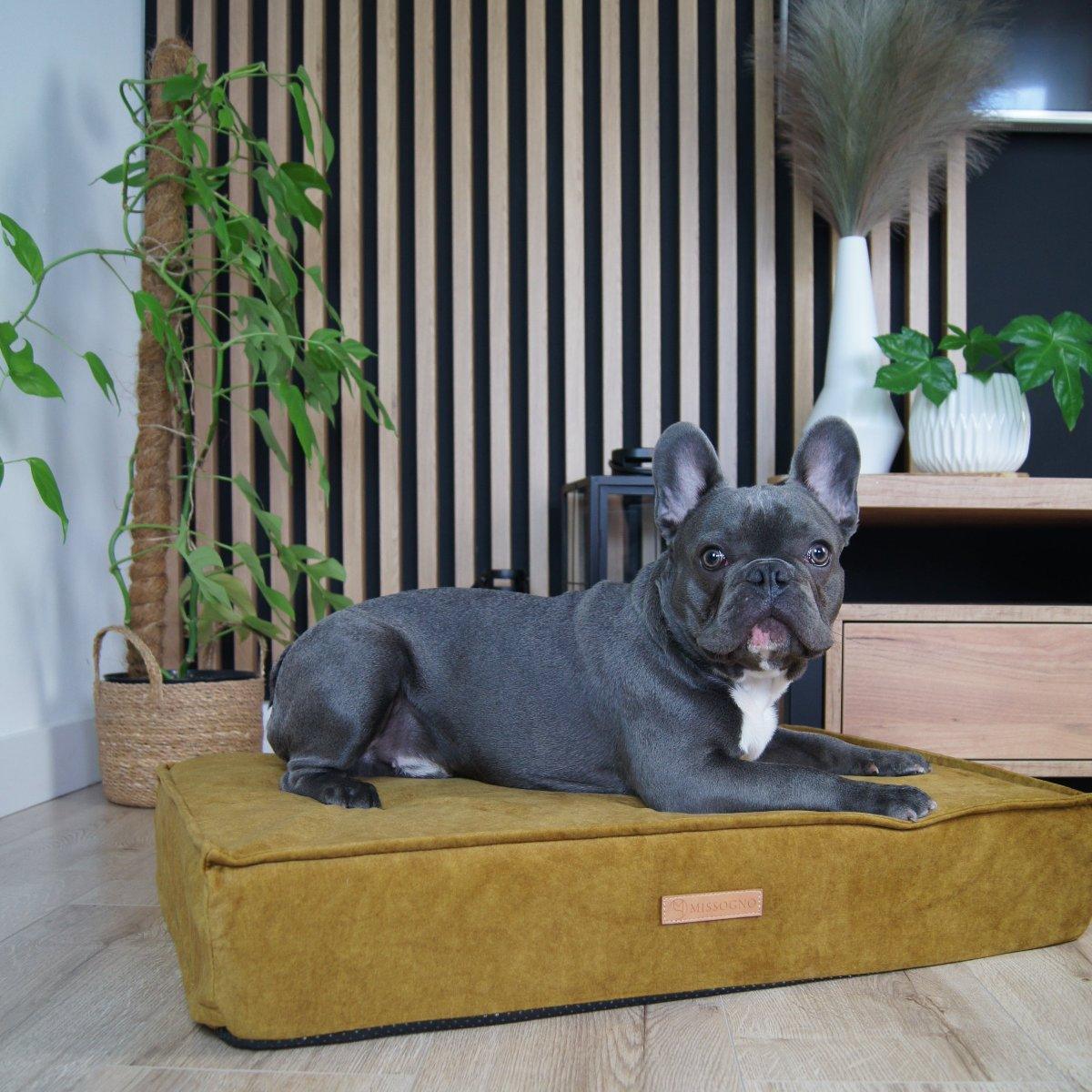 coussin orthopédique pour chien - GLAMOUR - Kasibe