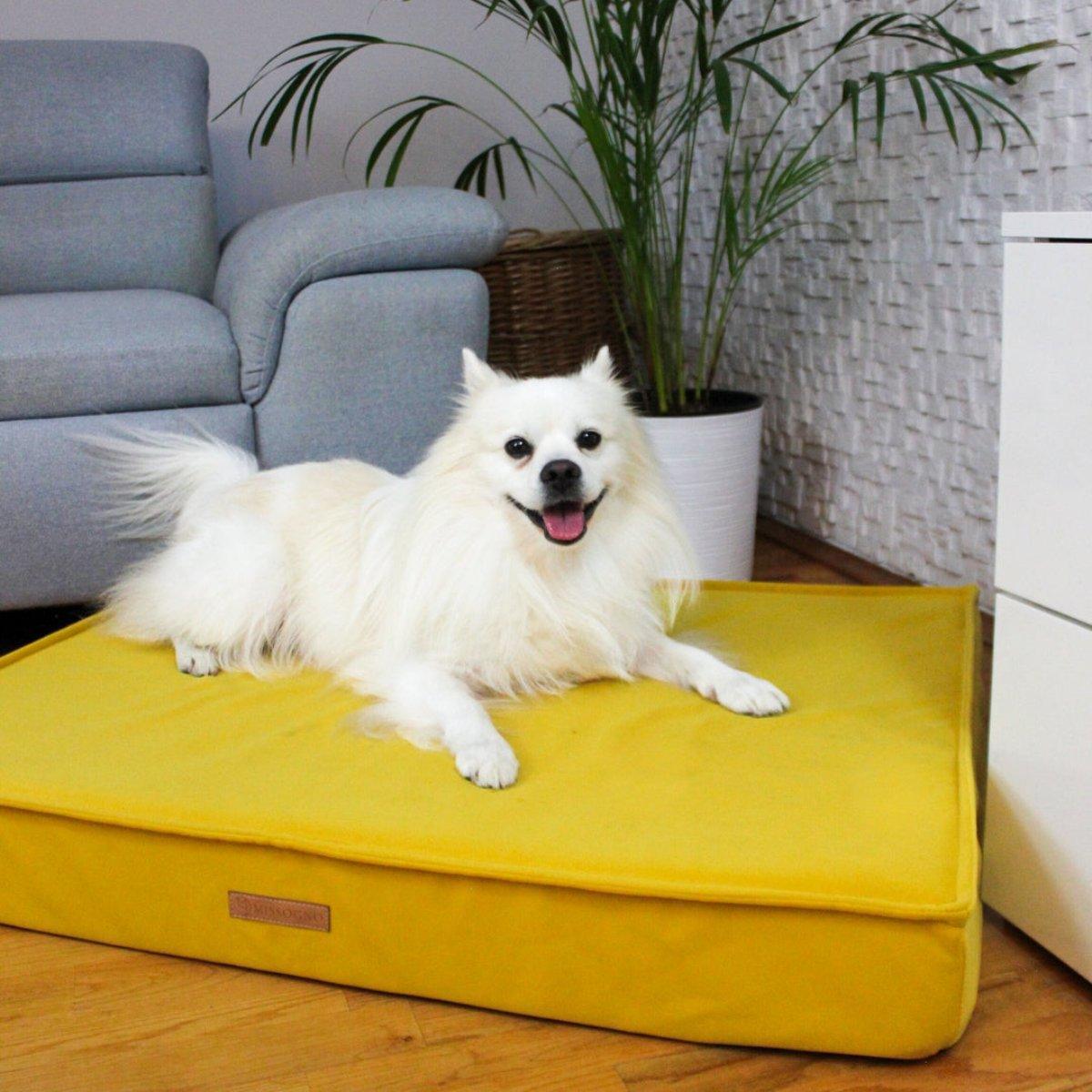 Coussin pour chien très chic - CHARM - Kasibe