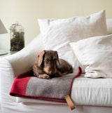 Une couverture chaude pour chien en laine recyclée Ansel - kasibe