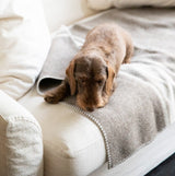 Une couverture chaude pour chien en laine recyclée Ansel - kasibe