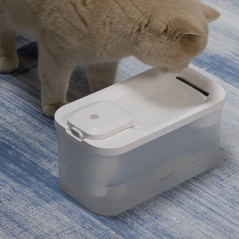 Fontaine à eau pour chat design & fonctionnelle : Hydr - kasibe