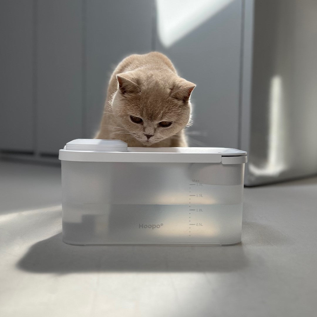 Fontaine à eau pour chat design & fonctionnelle : Hydr - kasibe