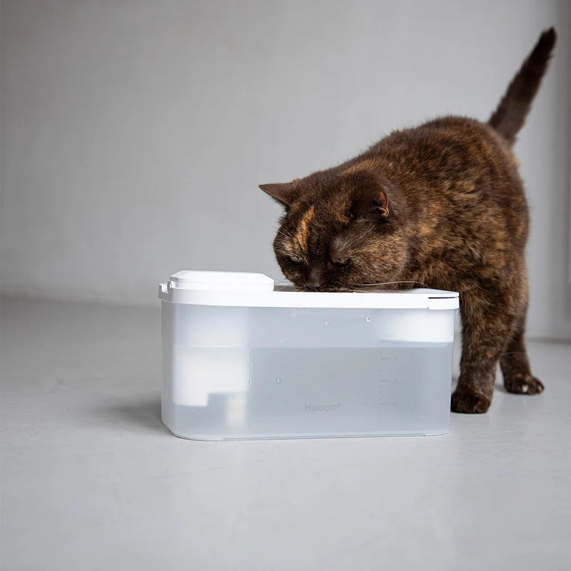 La fontaine à eau design pour chat Hydro Smart de la marque Hoopo - La Psy  de mon chat
