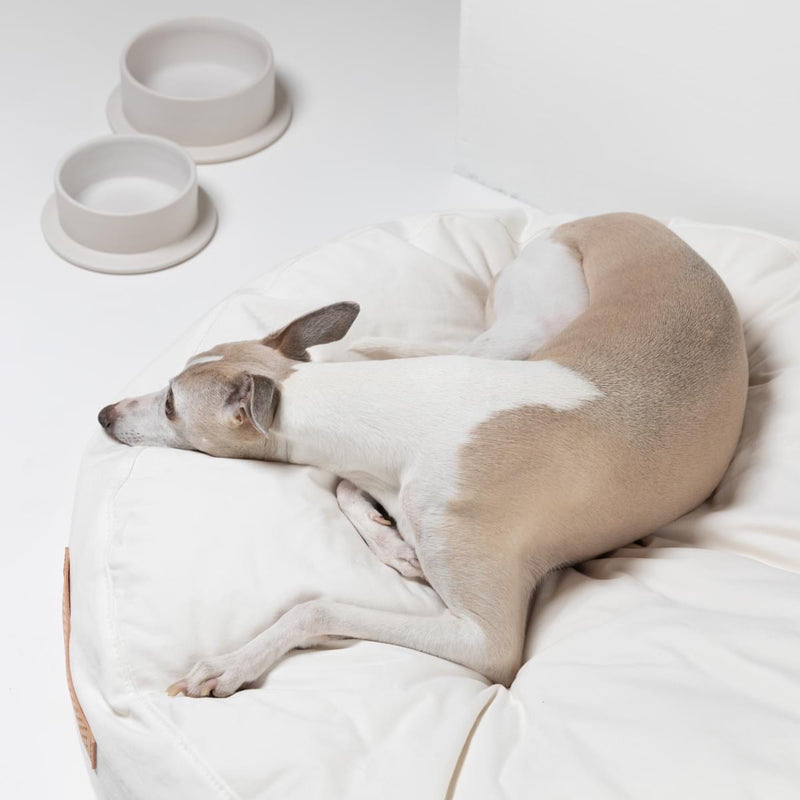 Imogen, une gamelle en céramique pour chien fabriquée main - kasibe