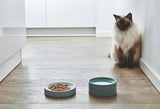 Gamelle en céramique pour chat : bol de qualité en porcelaine Fresco - kasibe