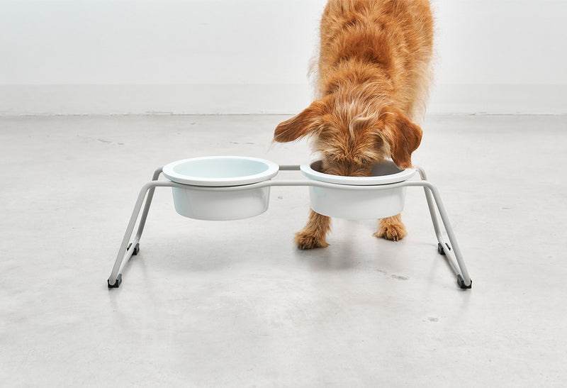 Gamelle surélevée pour chien en métal - Structure minimaliste Cena porcelaine - kasibe