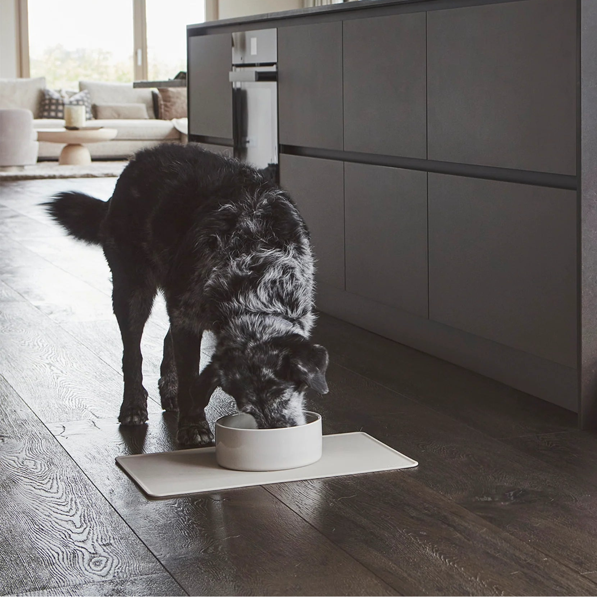 gamelle design pour chien en porcelaine - kasibe
