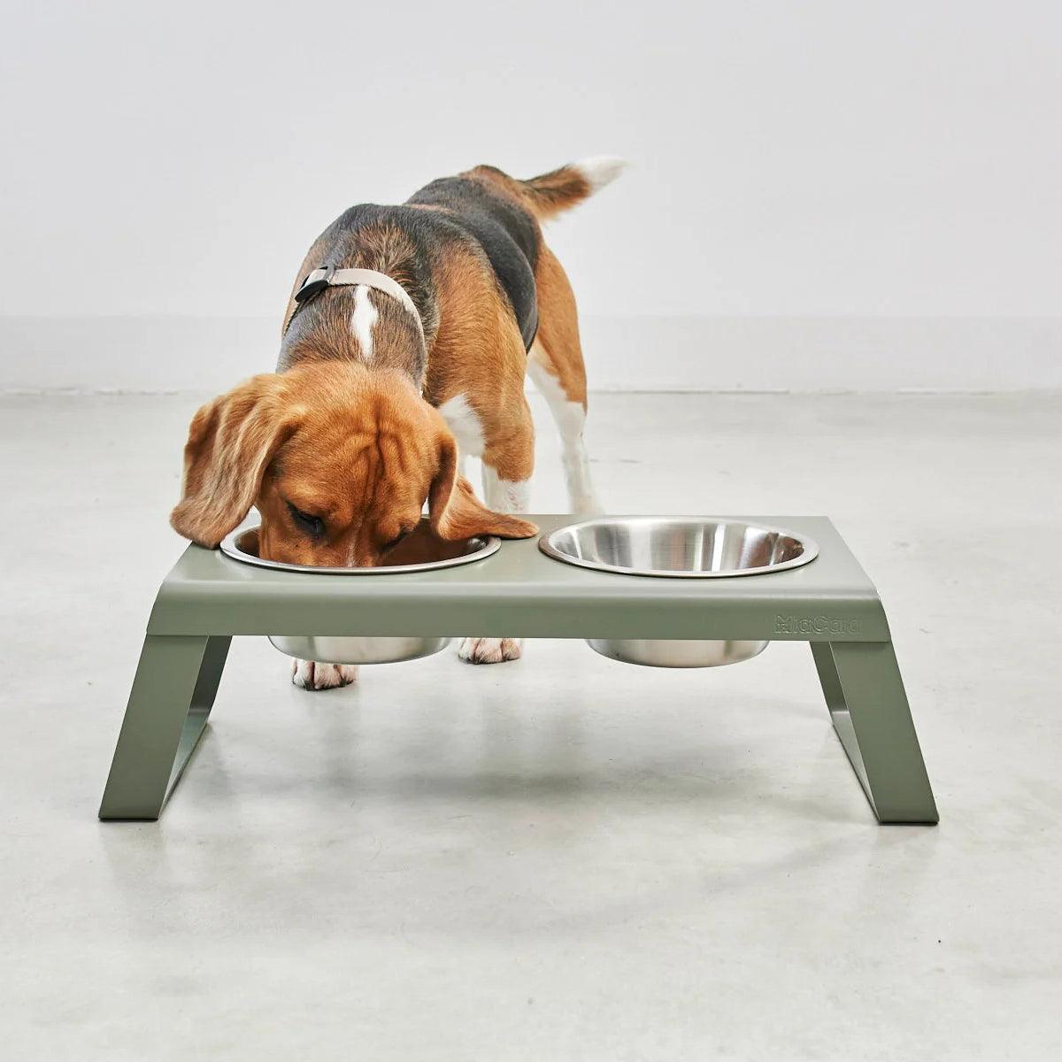 Gamelle surélevée pour chien - DESCO ALUMINIUM - Kasibe