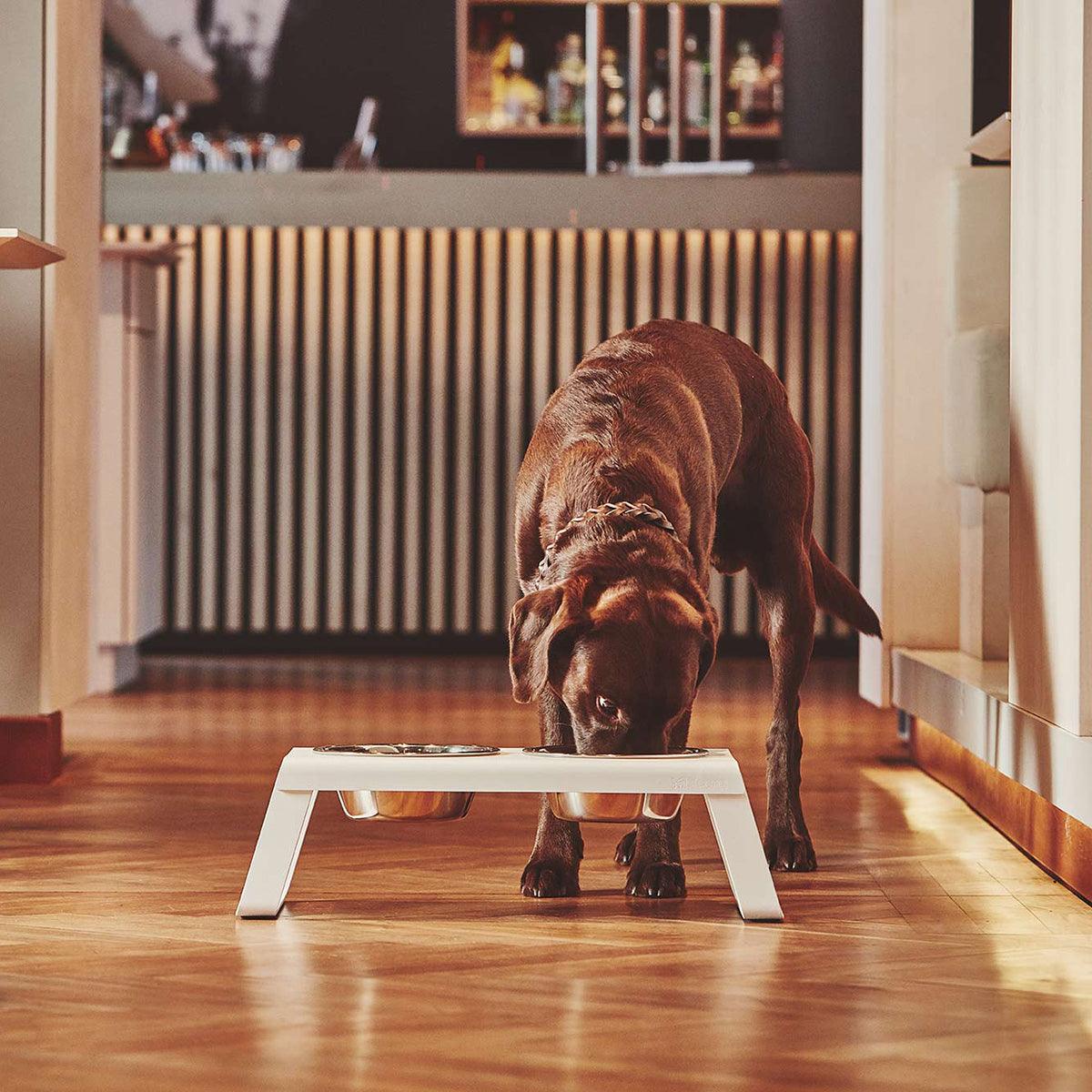 Gamelle surélevée pour chien - DESCO ALUMINIUM - Kasibe