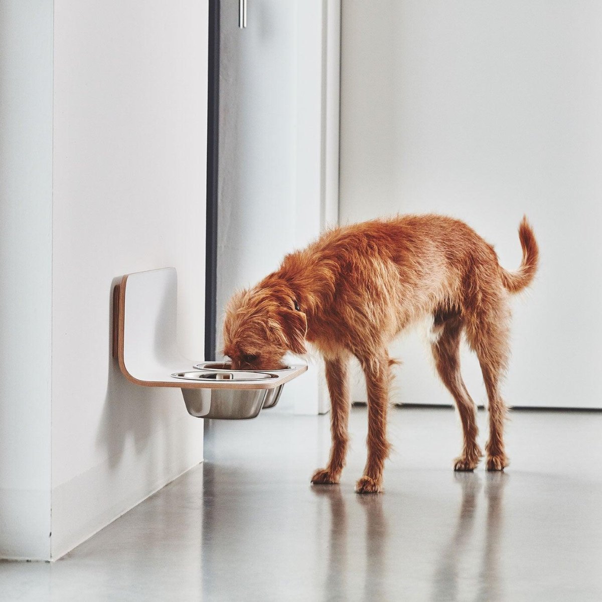 Gamelle suspendue pour chien - ARCO - Kasibe