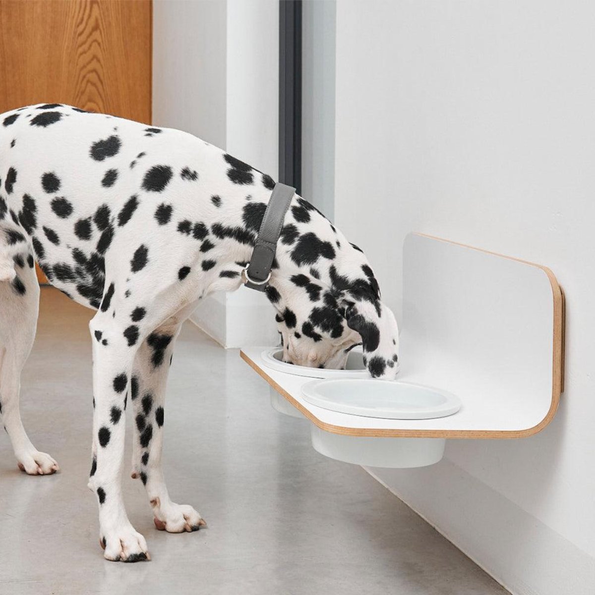 Gamelle suspendue pour chien - ARCO - Kasibe