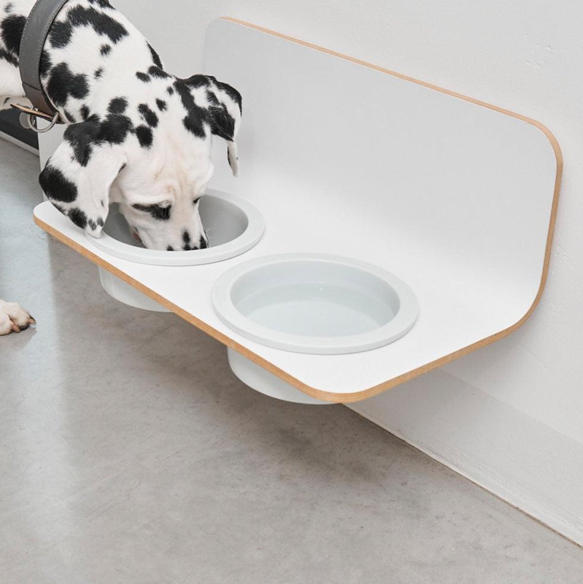 Gamelle suspendue pour chien - ARCO - Kasibe