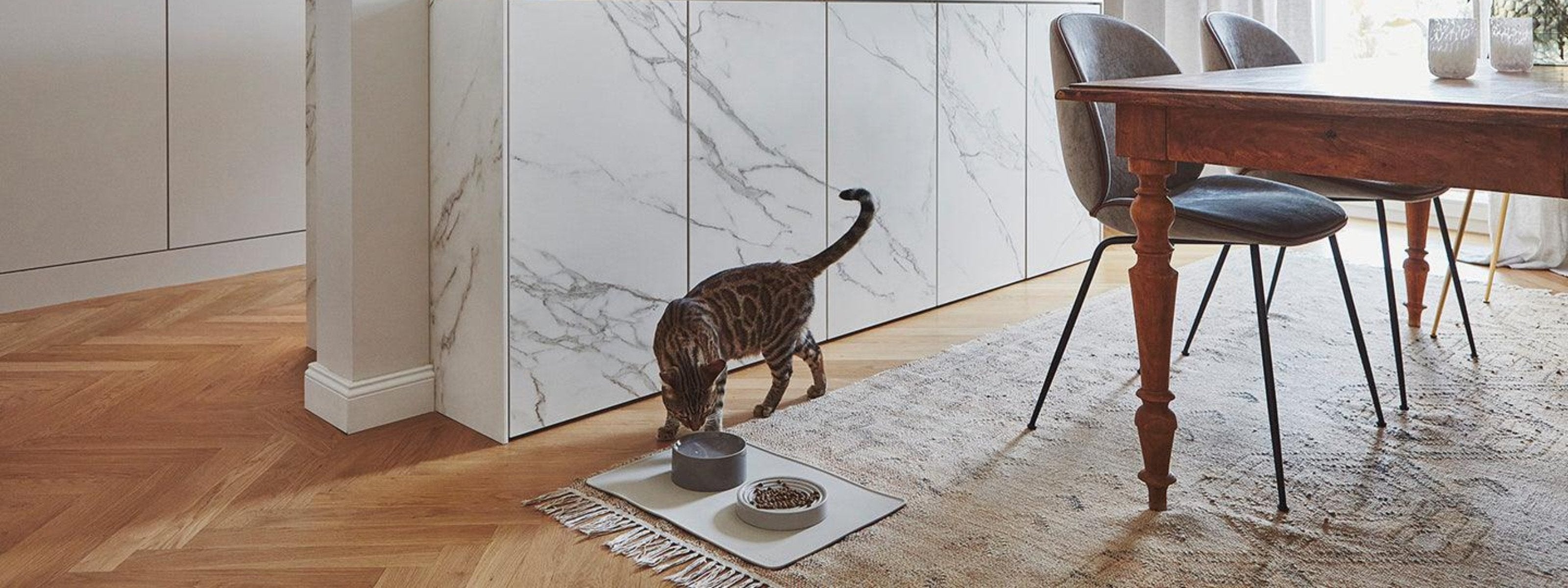 Gamelle en céramique pour chat : bol de qualité en porcelaine Fresco nougat - kasibe