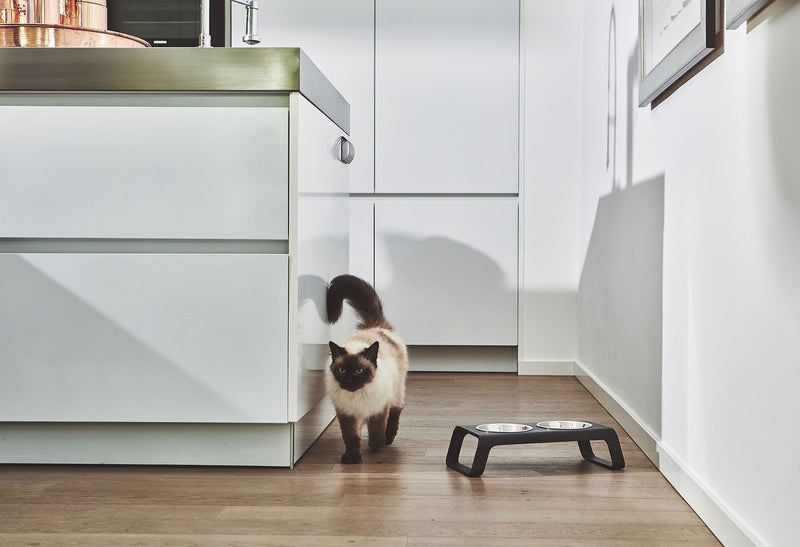 Gamelle pour chat en bois Desco : la simplicité du contreplaqué plié - kasibe